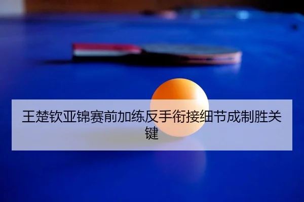 王楚钦亚锦赛前加练反手衔接细节成制胜关键