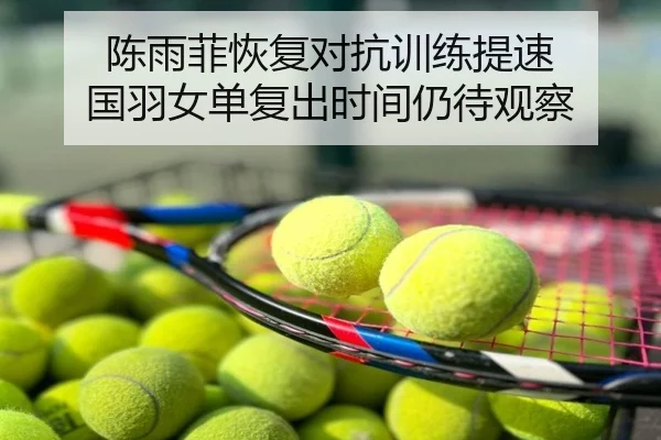 陈雨菲恢复对抗训练提速 国羽女单复出时间仍待观察